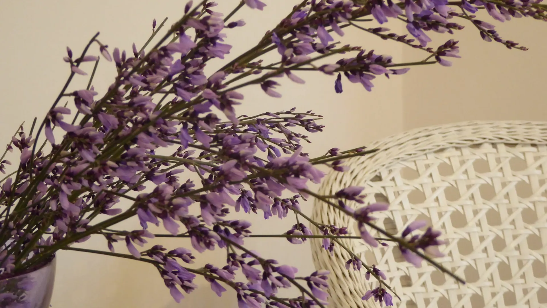 B&B Vista Sul Canal Grande Venecia Bed and breakfast