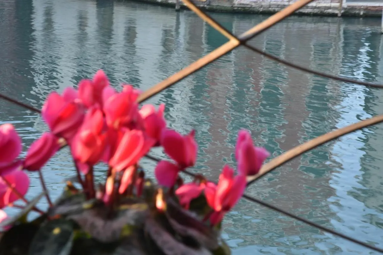 B&B Vista Sul Canal Grande Venedik Oda ve Kahvaltı